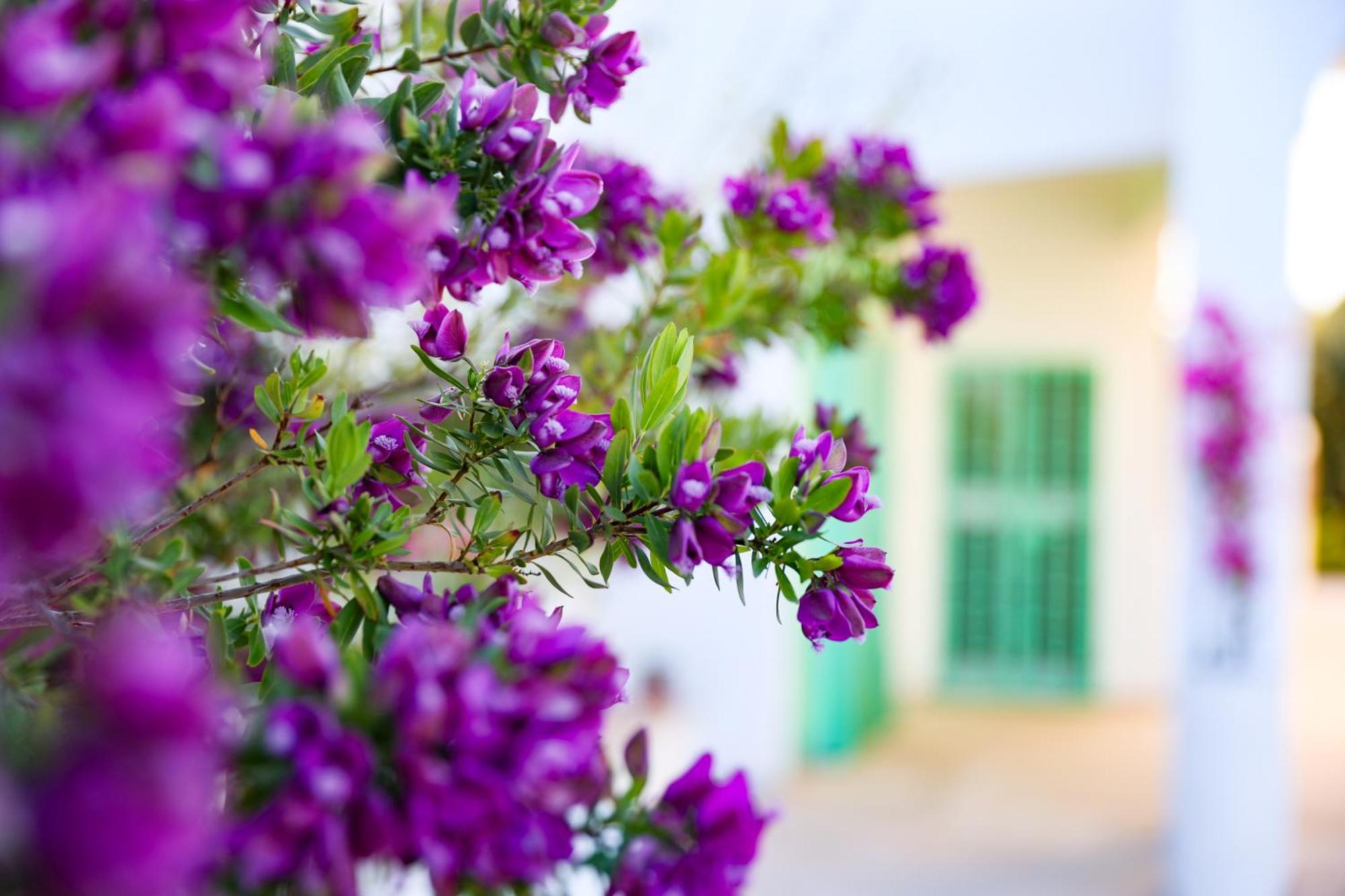 Villa Mina Ostuni Kültér fotó
