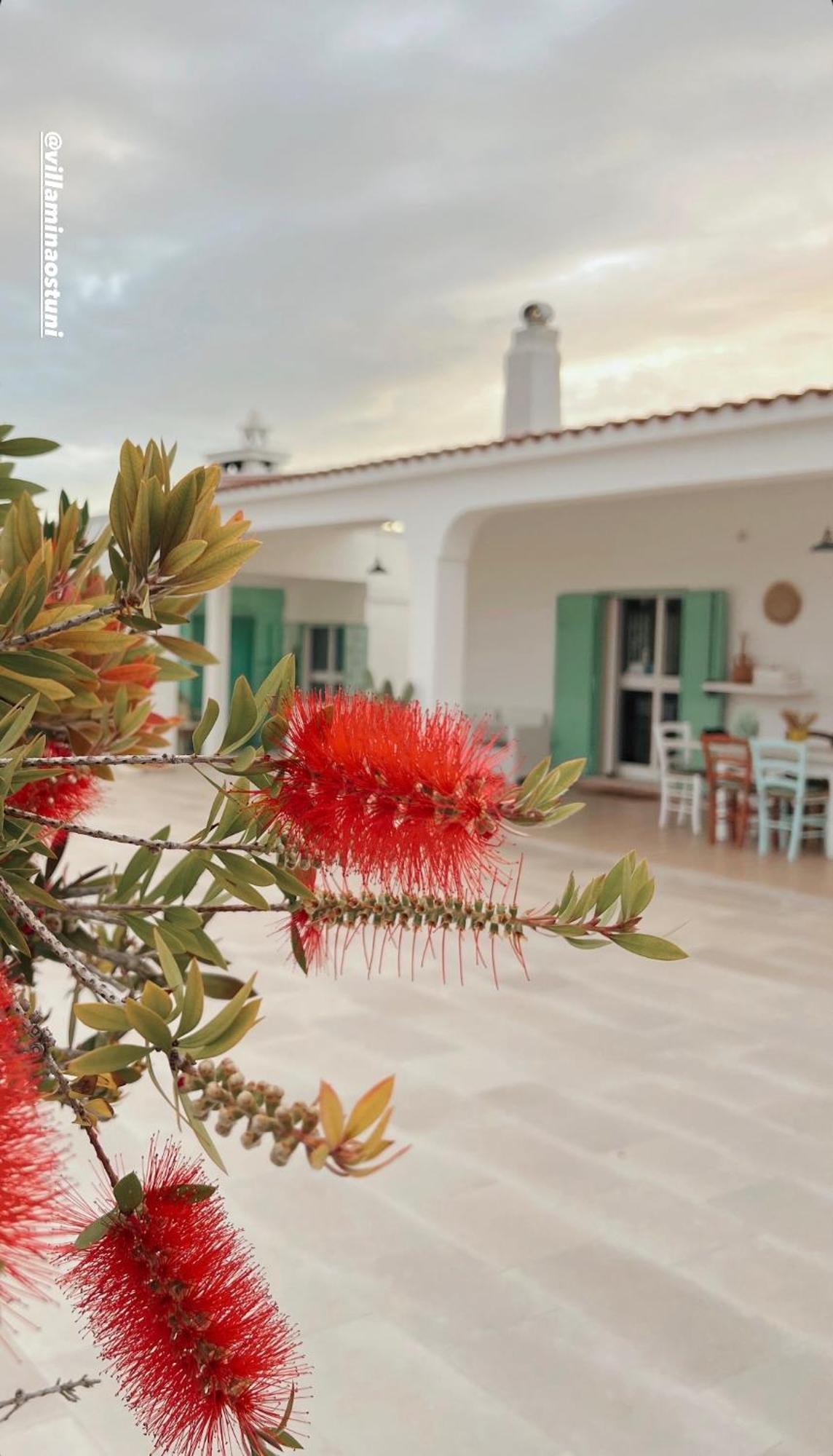 Villa Mina Ostuni Kültér fotó